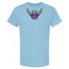 4800 - Best Value 100% Cotton T-Shirt Thumbnail
