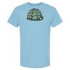 4800 - Best Value 100% Cotton T-Shirt Thumbnail
