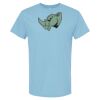 4800 - Best Value 100% Cotton T-Shirt Thumbnail