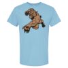 4800 - Best Value 100% Cotton T-Shirt Thumbnail
