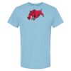 4800 - Best Value 100% Cotton T-Shirt Thumbnail