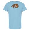 4800 - Best Value 100% Cotton T-Shirt Thumbnail