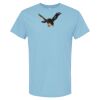 4800 - Best Value 100% Cotton T-Shirt Thumbnail