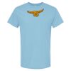 4800 - Best Value 100% Cotton T-Shirt Thumbnail