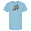 4800 - Best Value 100% Cotton T-Shirt Thumbnail