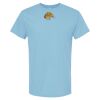 4800 - Best Value 100% Cotton T-Shirt Thumbnail