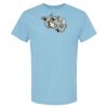 4800 - Best Value 100% Cotton T-Shirt Thumbnail