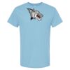 4800 - Best Value 100% Cotton T-Shirt Thumbnail
