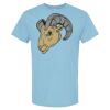 4800 - Best Value 100% Cotton T-Shirt Thumbnail