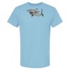 4800 - Best Value 100% Cotton T-Shirt Thumbnail