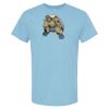 4800 - Best Value 100% Cotton T-Shirt Thumbnail