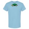 4800 - Best Value 100% Cotton T-Shirt Thumbnail