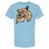 4800 - Best Value 100% Cotton T-Shirt Thumbnail