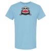 4800 - Best Value 100% Cotton T-Shirt Thumbnail