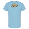 4800 - Best Value 100% Cotton T-Shirt Thumbnail