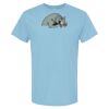 4800 - Best Value 100% Cotton T-Shirt Thumbnail