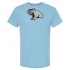 4800 - Best Value 100% Cotton T-Shirt Thumbnail