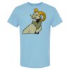4800 - Best Value 100% Cotton T-Shirt Thumbnail
