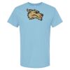 4800 - Best Value 100% Cotton T-Shirt Thumbnail