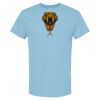 4800 - Best Value 100% Cotton T-Shirt Thumbnail