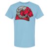 4800 - Best Value 100% Cotton T-Shirt Thumbnail