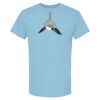 4800 - Best Value 100% Cotton T-Shirt Thumbnail