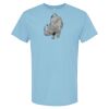 4800 - Best Value 100% Cotton T-Shirt Thumbnail