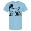 4800 - Best Value 100% Cotton T-Shirt Thumbnail