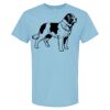4800 - Best Value 100% Cotton T-Shirt Thumbnail