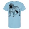 4800 - Best Value 100% Cotton T-Shirt Thumbnail