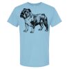 4800 - Best Value 100% Cotton T-Shirt Thumbnail