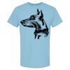 4800 - Best Value 100% Cotton T-Shirt Thumbnail