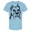 4800 - Best Value 100% Cotton T-Shirt Thumbnail