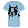 4800 - Best Value 100% Cotton T-Shirt Thumbnail