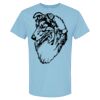 4800 - Best Value 100% Cotton T-Shirt Thumbnail