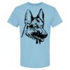 4800 - Best Value 100% Cotton T-Shirt Thumbnail