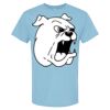 4800 - Best Value 100% Cotton T-Shirt Thumbnail
