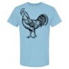 4800 - Best Value 100% Cotton T-Shirt Thumbnail