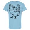 4800 - Best Value 100% Cotton T-Shirt Thumbnail