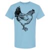 4800 - Best Value 100% Cotton T-Shirt Thumbnail