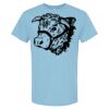 4800 - Best Value 100% Cotton T-Shirt Thumbnail