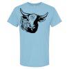 4800 - Best Value 100% Cotton T-Shirt Thumbnail