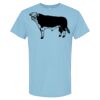 4800 - Best Value 100% Cotton T-Shirt Thumbnail