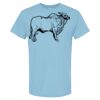 4800 - Best Value 100% Cotton T-Shirt Thumbnail