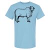 4800 - Best Value 100% Cotton T-Shirt Thumbnail