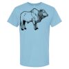 4800 - Best Value 100% Cotton T-Shirt Thumbnail