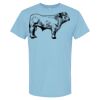 4800 - Best Value 100% Cotton T-Shirt Thumbnail