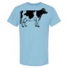 4800 - Best Value 100% Cotton T-Shirt Thumbnail
