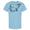 4800 - Best Value 100% Cotton T-Shirt Thumbnail