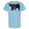 4800 - Best Value 100% Cotton T-Shirt Thumbnail